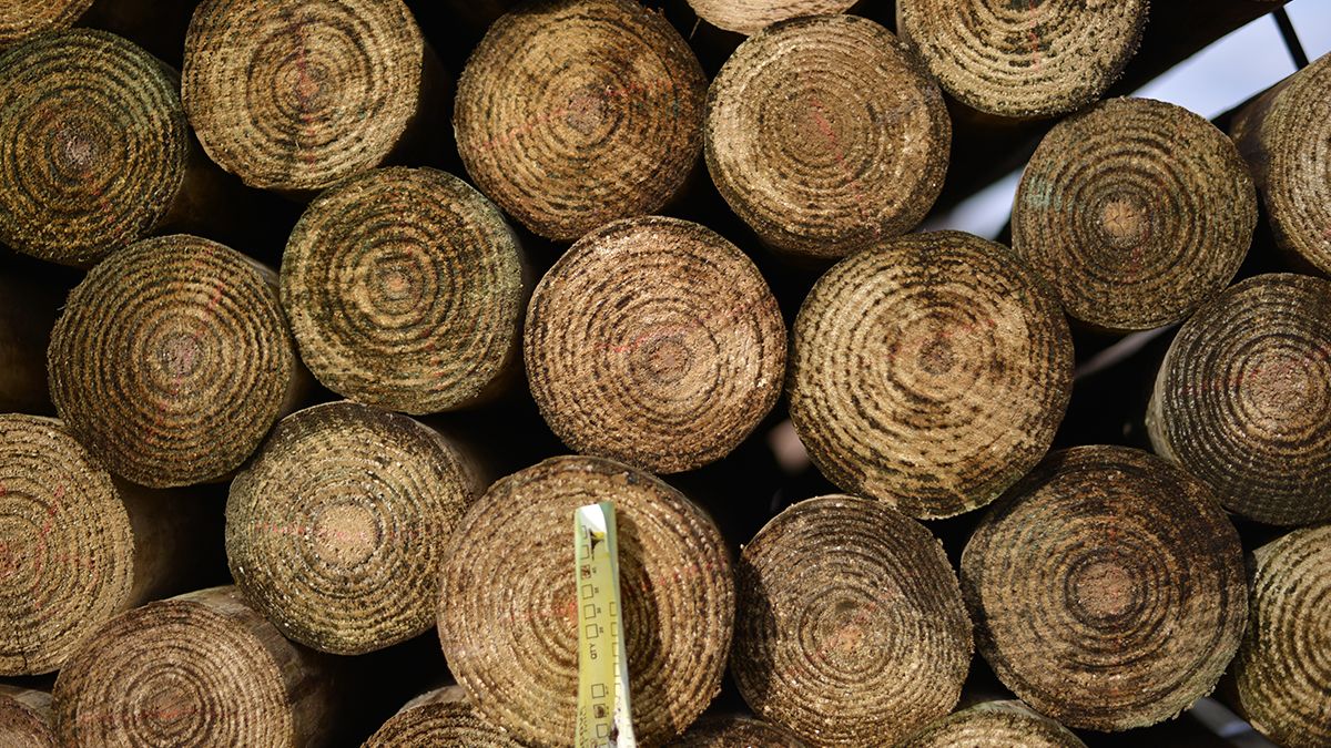Know Before You Buy, Not All Wood Posts Are Made The Same