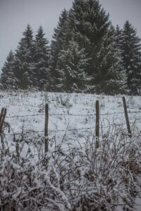 snow-covered-barbed-wire.jpg